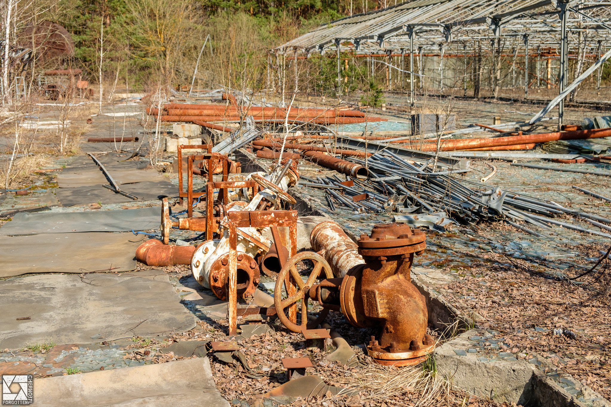 Pripyat Greenhouses