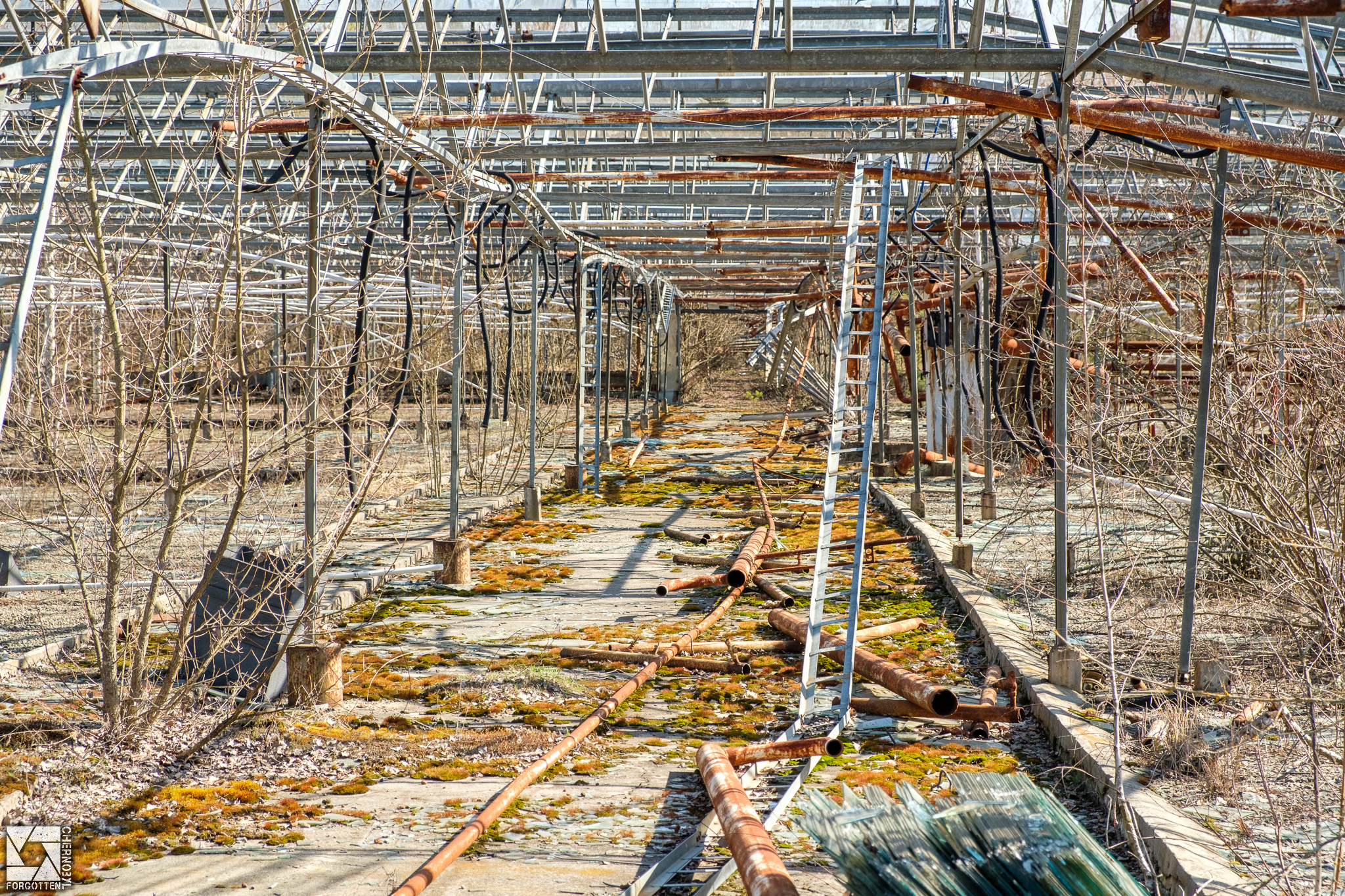 Pripyat Greenhouses