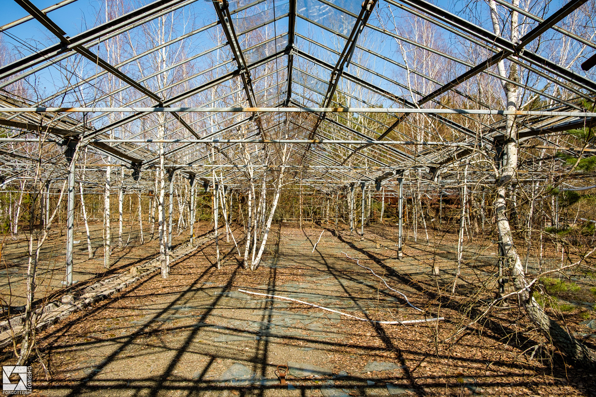 Pripyat Greenhouses