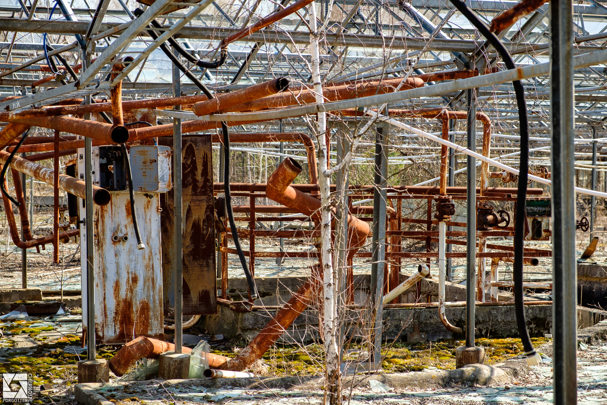 Pripyat Greenhouses
