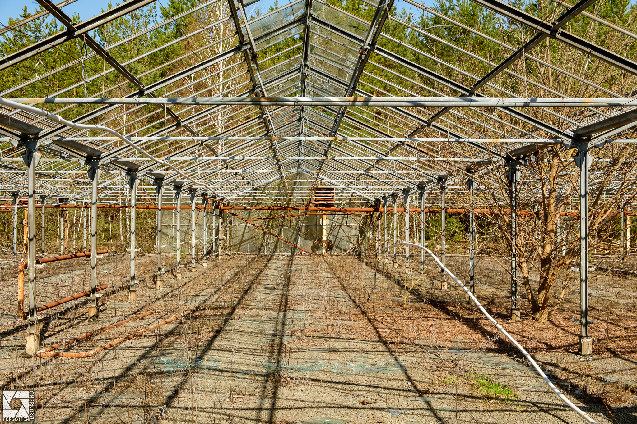 Pripyat Greenhouses