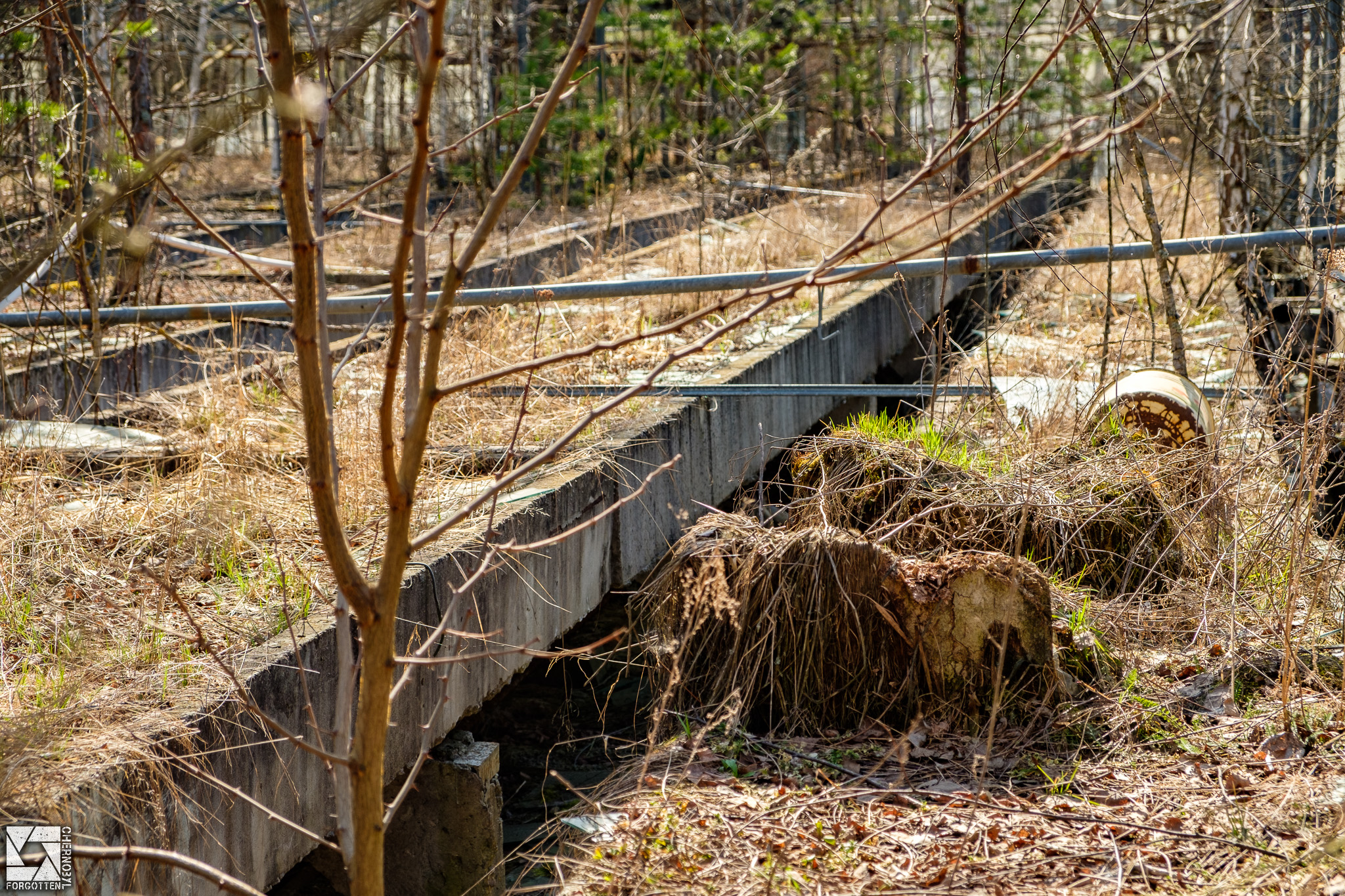 Pripyat Greenhouses