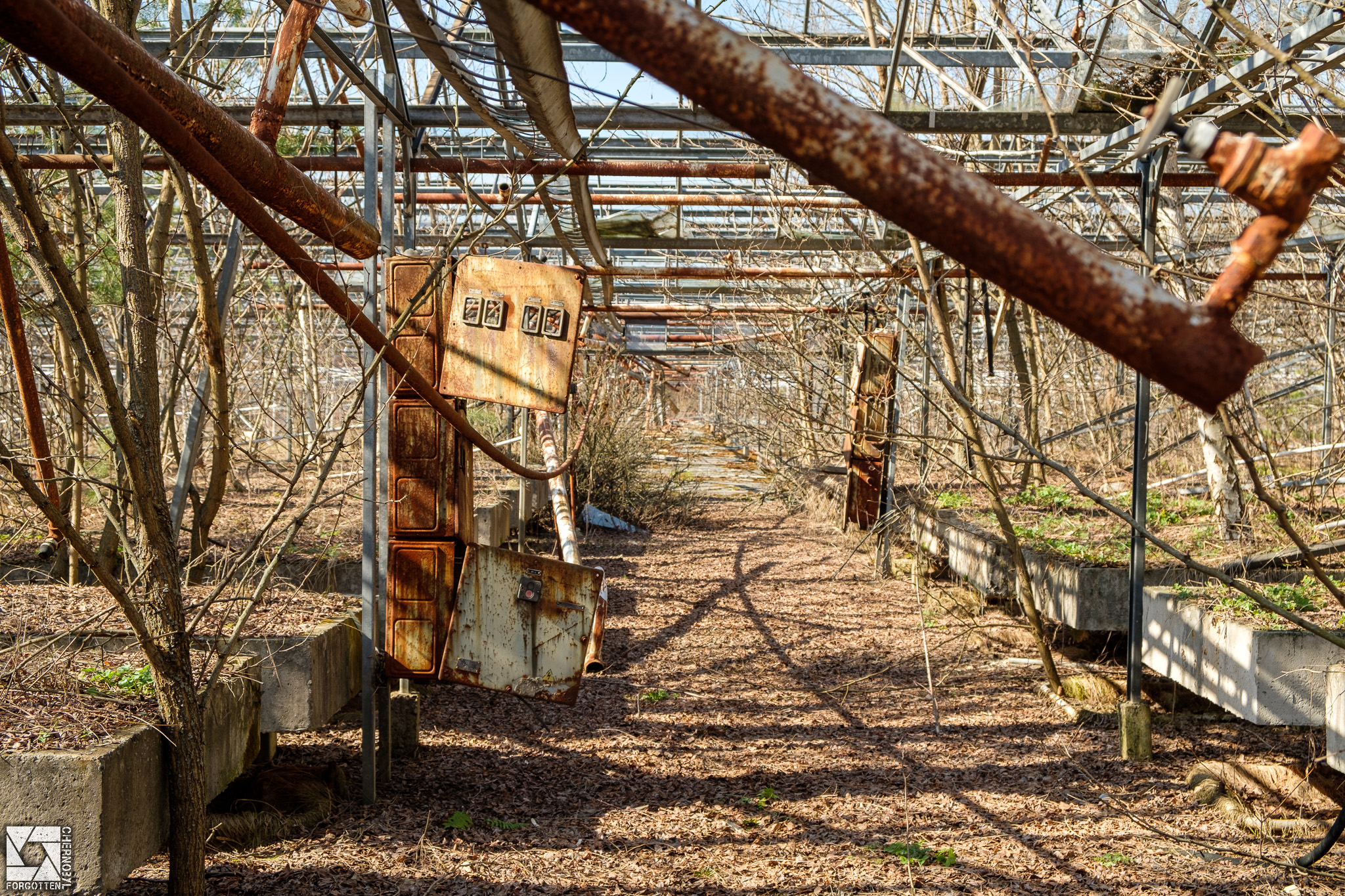 Pripyat Greenhouses