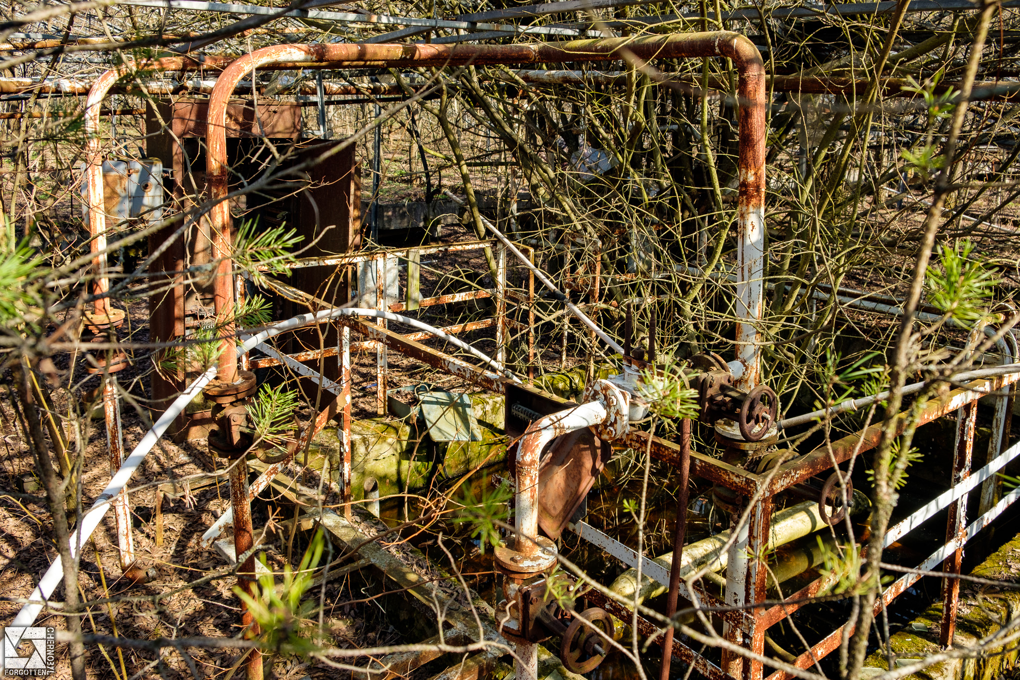 Pripyat Greenhouses