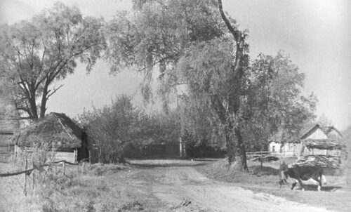 Semykhody Village historic photo