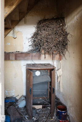 Abandoned Cottage in Scottish Borders