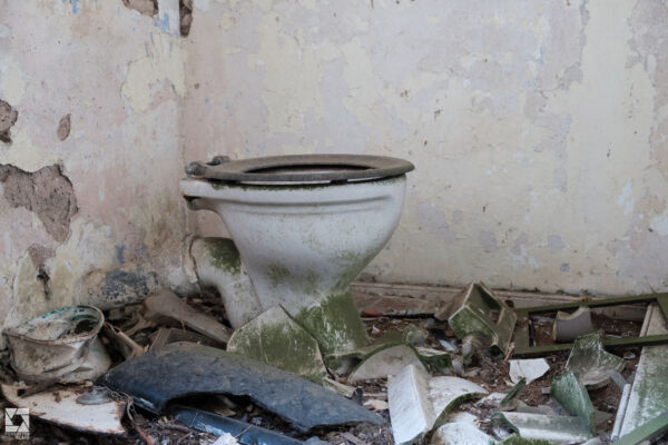 Abandoned Cottage in Scottish Borders