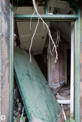 Milkbank House Kennels