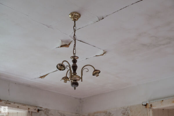 Milkbank House Kennels