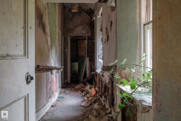 Milkbank House Kennels