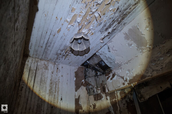 Milkbank House Kennels