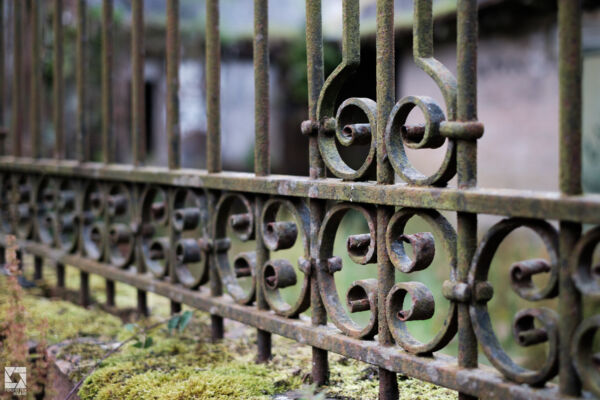 Milkbank House Kennels