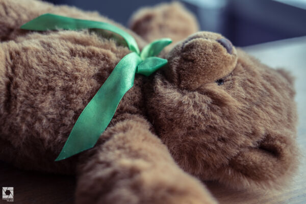 Old Roslin Primary School