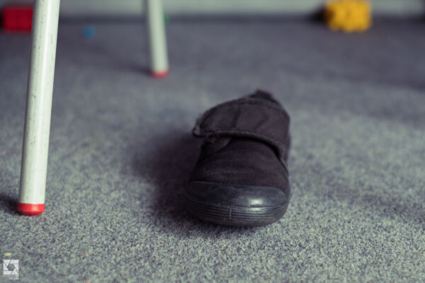 Old Roslin Primary School