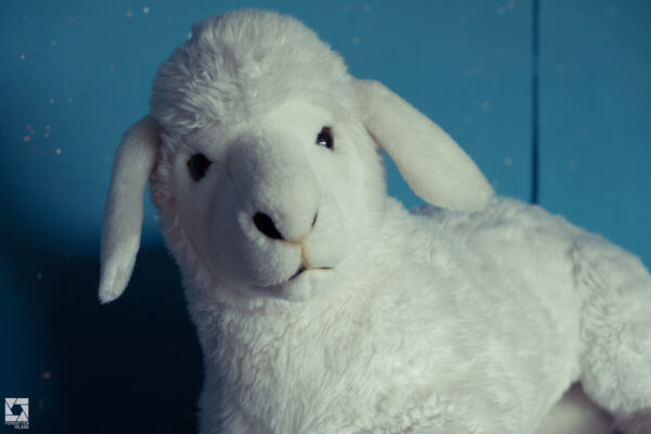 Old Roslin Primary School