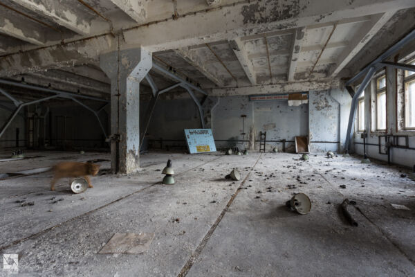 Duga-1 Russian Woodpecker