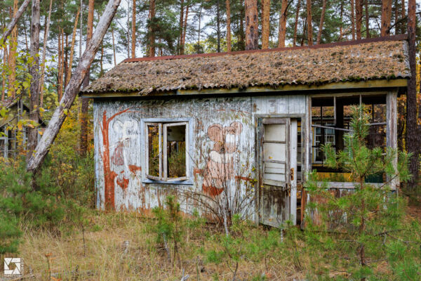 Emerald (Izumrudnoye) Children's Summer Camp