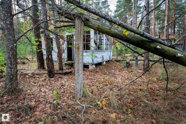 Emerald (Izumrudnoye) Children's Summer Camp