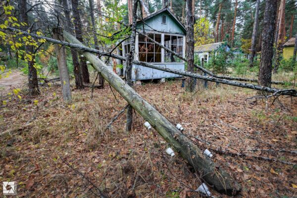 Emerald (Izumrudnoye) Children's Summer Camp