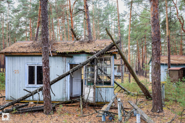 Emerald (Izumrudnoye) Children's Summer Camp