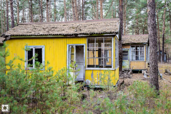 Emerald (Izumrudnoye) Children's Summer Camp