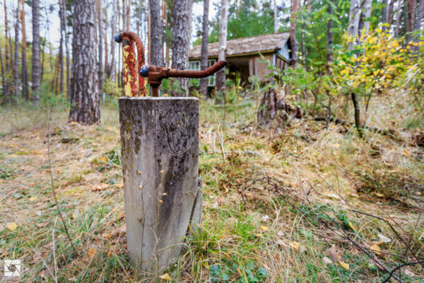 Emerald (Izumrudnoye) Children's Summer Camp