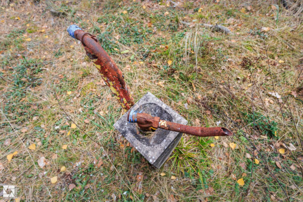 Emerald (Izumrudnoye) Children's Summer Camp