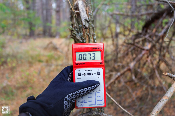 Emerald (Izumrudnoye) Children's Summer Camp