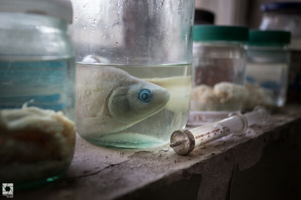 Chernobyl Fish Farm