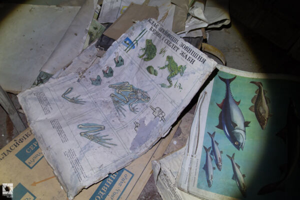 Mashevo Secondary School