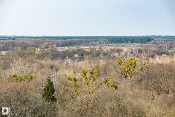 Fire Lookout Tower in Paryshev village