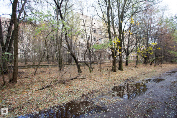 Pripyat Hospital and Basements