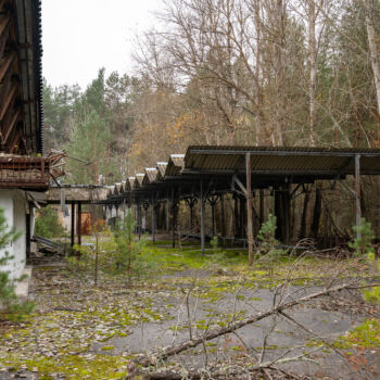 Marketplace in Pripyat Marketplace in Pripyat