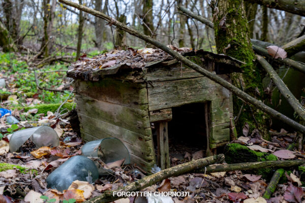 Semykhody Village Near Pripyat