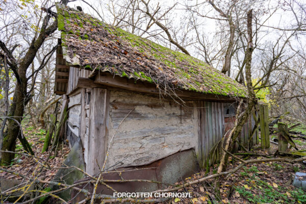 Semykhody Village Near Pripyat