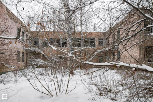 Emerald (Izumrudnoye) Children's Summer Camp