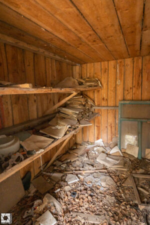 Zymovyshche Village in the Chernobyl Zone